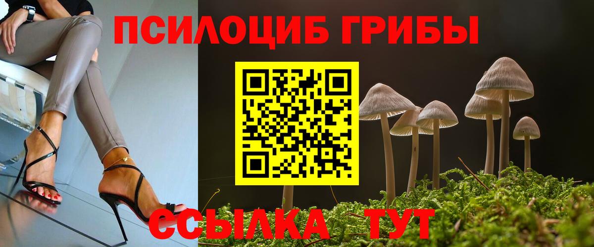 сколько стоит  Вход с VPN  Калуга  Галлюциногенные грибы MAGIC MUSHROOMS  Псилоцибиновые грибы мухоморы 